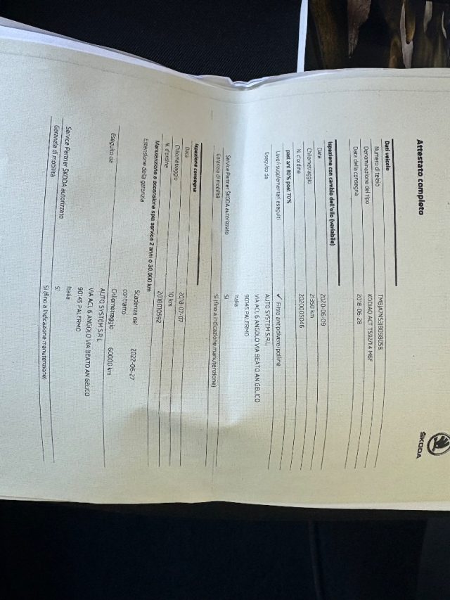 SKODA Kodiaq usata 84