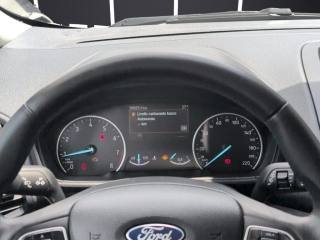 FORD EcoSport usata, con Touch screen