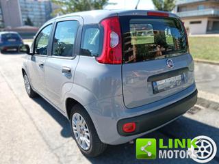 FIAT Panda usata, con Airbag testa
