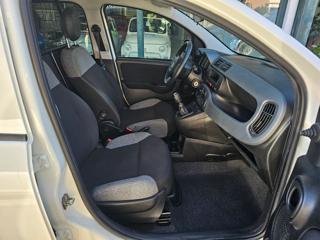 FIAT Panda usata, con Alzacristalli elettrici