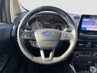 FORD EcoSport usata 12