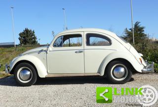 VOLKSWAGEN Maggiolino usata 7