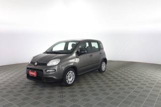 FIAT Panda usata 6