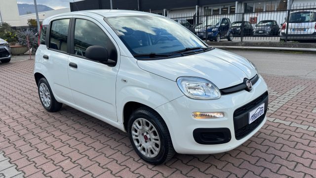 FIAT New Panda usata, con Airbag laterali