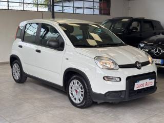 FIAT Panda usata, con Airbag Passeggero
