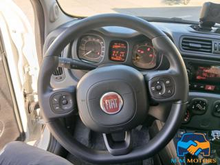 FIAT Panda usata 29