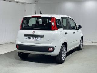 FIAT Panda usata, con Chiusura centralizzata