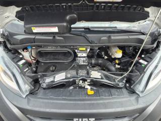 FIAT Ducato usata 12
