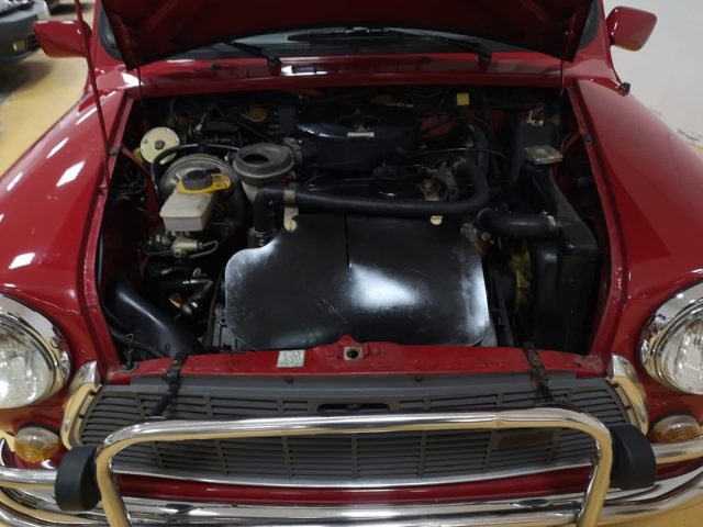 ROVER Mini usata 12