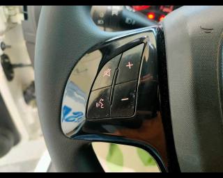 FIAT Fiorino usata 13