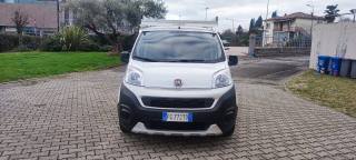 FIAT Fiorino usata, con Cronologia tagliandi