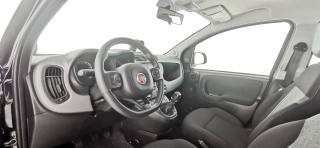FIAT Panda usata 46