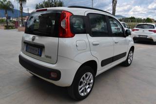 FIAT Panda usata 14