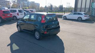 FIAT Panda usata, con Sensori di parcheggio posteriori