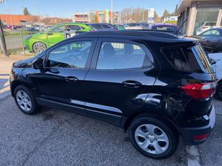 FORD EcoSport usata, con Pneumatici da neve