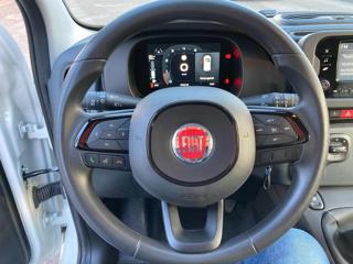 FIAT Panda usata, con Cruise Control