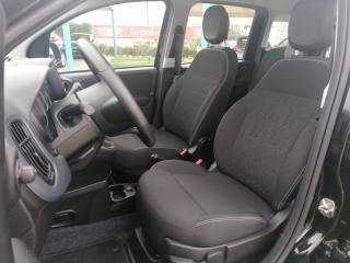 FIAT Panda usata 18