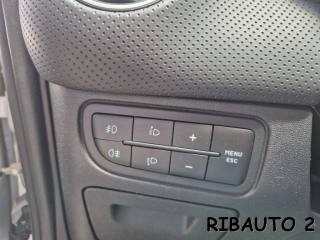 FIAT Punto Evo usata, con Climatizzatore