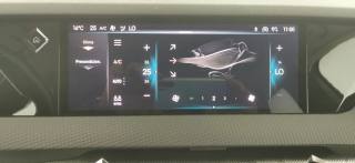 DS AUTOMOBILES DS 4 usata 68