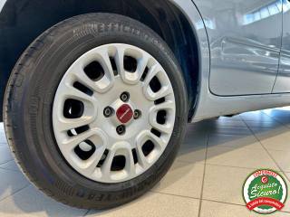 FIAT Panda usata, con Boardcomputer