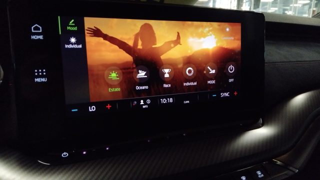 SKODA Octavia usata 46