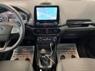 FORD EcoSport usata, con Cruise Control