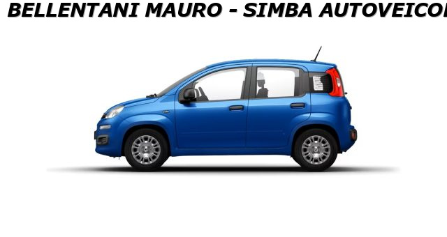 FIAT Panda usata, con Airbag Passeggero
