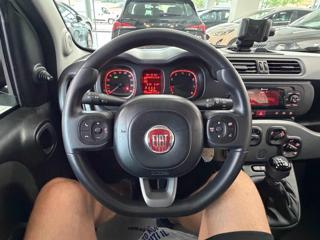 FIAT Panda usata 8
