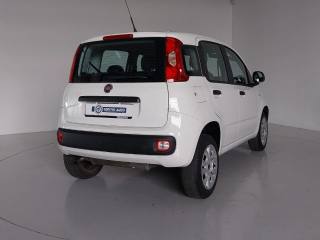 FIAT Panda usata, con Controllo trazione