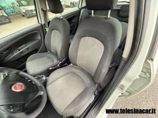 FIAT Punto usata 11