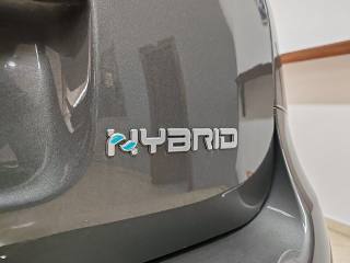 FIAT Panda Cross usata, con Controllo trazione