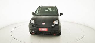 FIAT Panda Cross usata, con Airbag testa