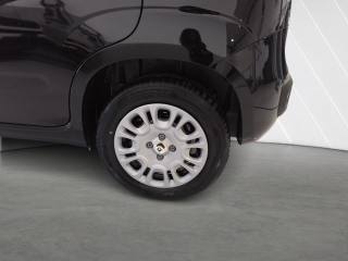 FIAT New Panda usata, con Bracciolo