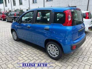 FIAT Panda usata, con Antifurto