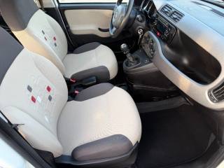 FIAT Panda usata 9