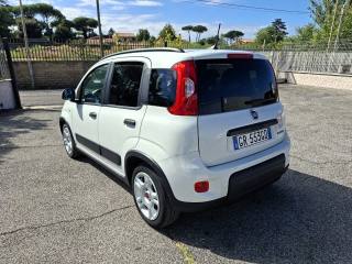 FIAT Panda usata 4