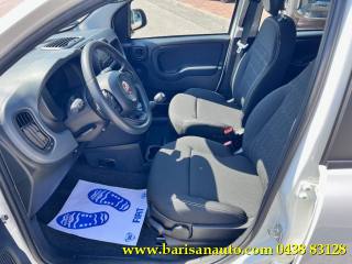 FIAT Panda usata, con Antifurto