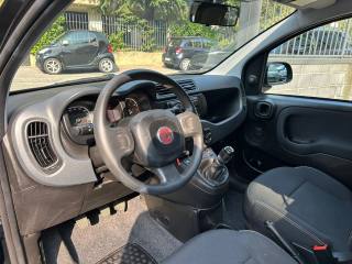 FIAT Panda usata, con Antifurto