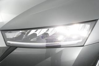 SKODA Octavia usata 13