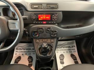 FIAT Panda usata, con Cronologia tagliandi