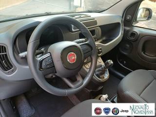 FIAT Panda usata, con Chiusura centralizzata telecomandata
