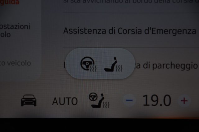 SMART Smart usata, con Vivavoce