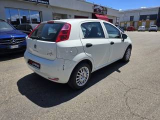FIAT Punto usata, con Airbag