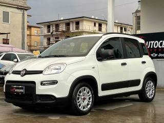 FIAT Panda usata, con Alzacristalli elettrici