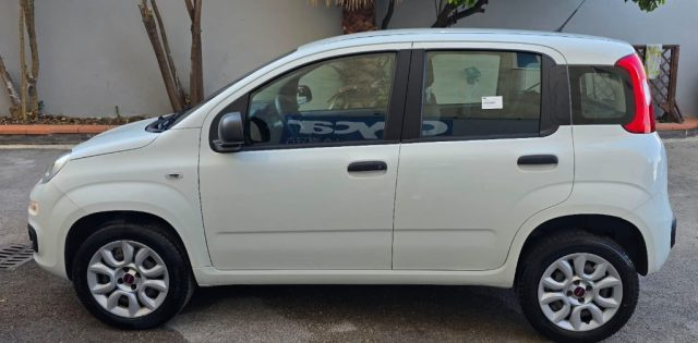 FIAT Panda usata, con Chiusura centralizzata