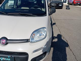 FIAT Panda usata 14