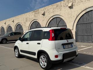 FIAT Panda usata 40