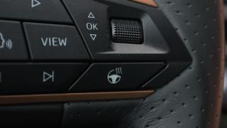 CUPRA Formentor usata, con Volante multifunzione