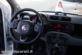 FIAT Panda usata, con Climatizzatore