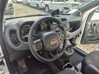FIAT Panda usata, con Climatizzatore